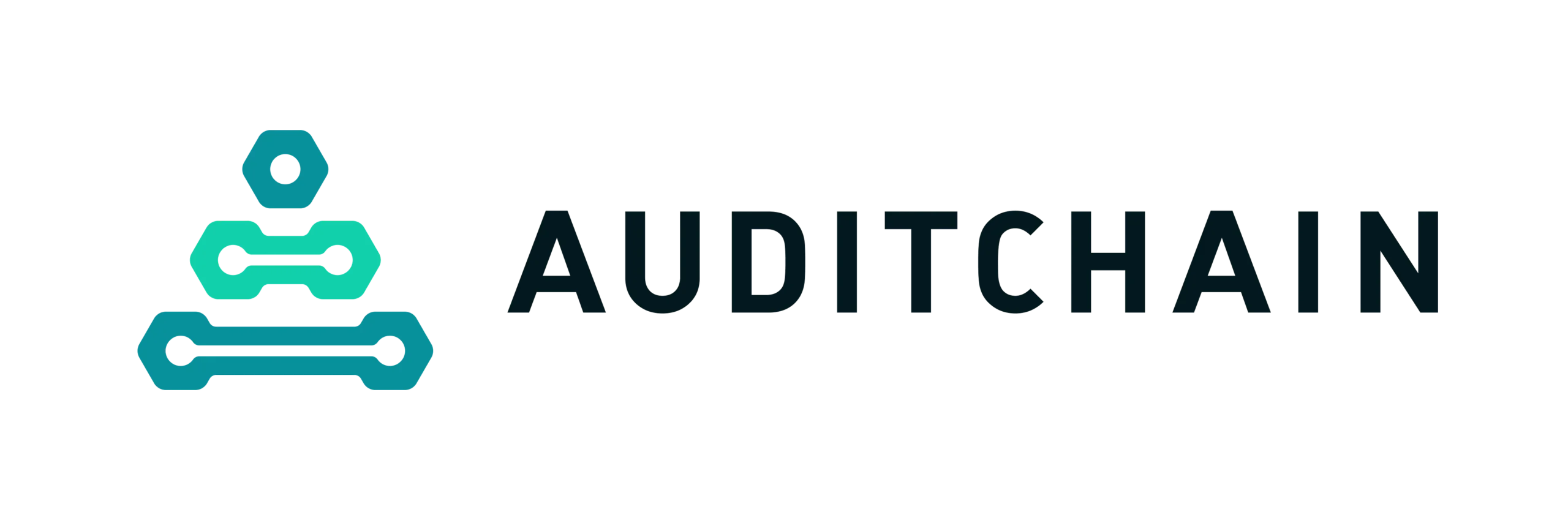 Auditchain project screenshot